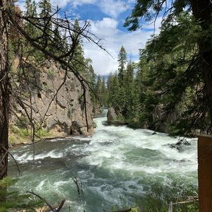 Meet your Posher, Toni